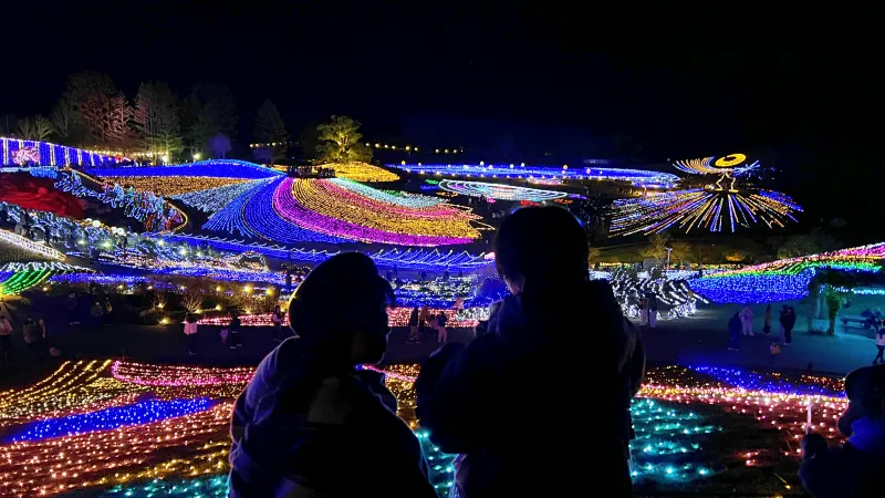 ペットと楽む まんのう公園 冬のイルミネーション トラちゃんも毎年行きます!
