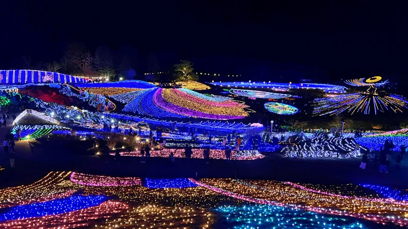 ペットと楽む まんのう公園 冬のイルミネーション トラちゃんも毎年行きます!