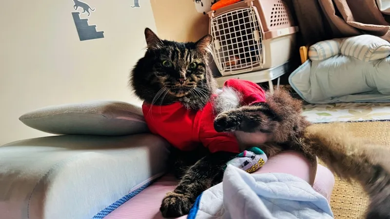 不意打ちの瞬間! 振り向けば飼い主がそこに!