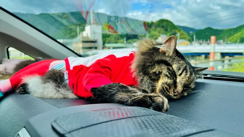 家より車の方が暖かくていい?家より快適とか?w