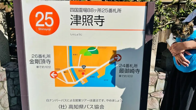 津照寺へ猫が行く! 本堂へつながる階段を登ると海が一望できてる絶景