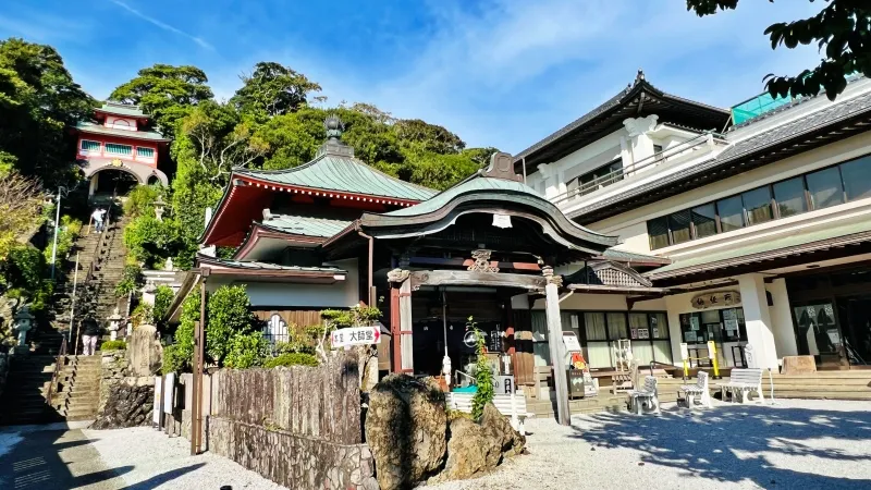 津照寺へ猫が行く! 本堂へつながる階段を登ると海が一望できてる絶景