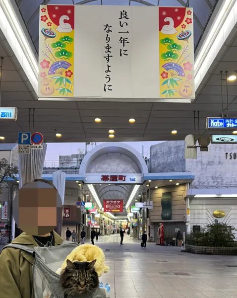 2025年トラちゃんのお正月 大宮神社干支の巨大オブジェ 白蛇伝説の國分八幡宮 こんぴらさん