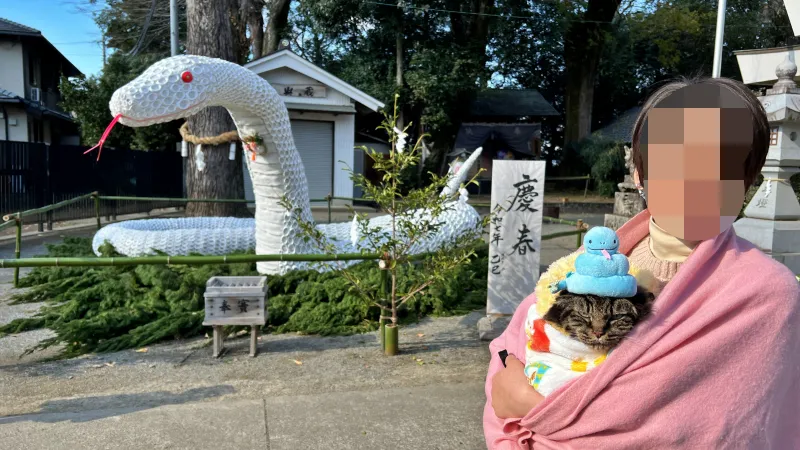 2025年トラちゃんのお正月 大宮神社干支の巨大オブジェ 白蛇伝説の國分八幡宮 こんぴらさん