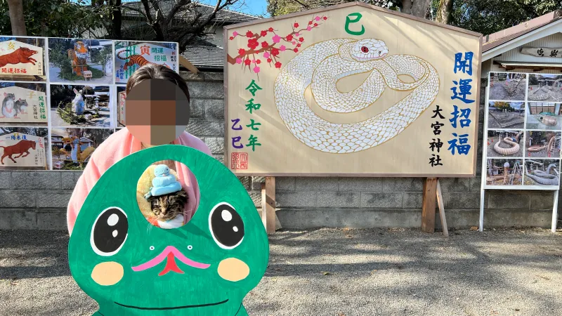 2025年トラちゃんのお正月 大宮神社干支の巨大オブジェ 白蛇伝説の國分八幡宮 こんぴらさん
