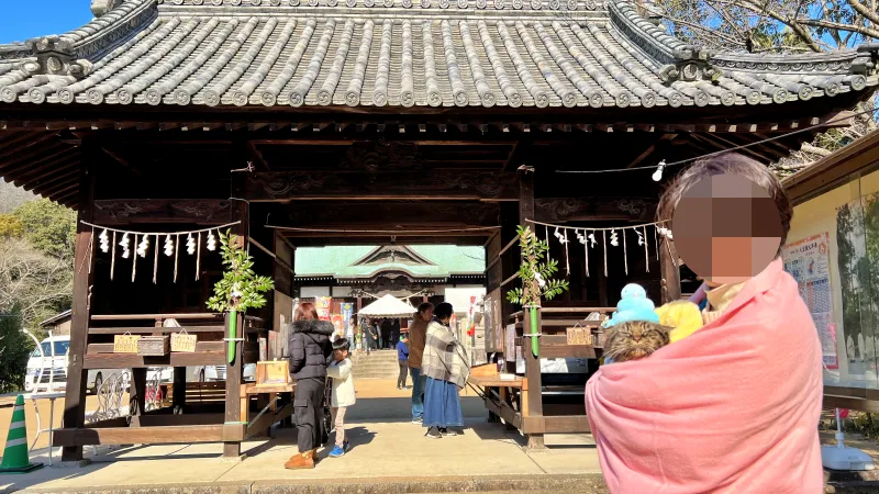 2025年トラちゃんのお正月 大宮神社干支の巨大オブジェ 白蛇伝説の國分八幡宮 こんぴらさん
