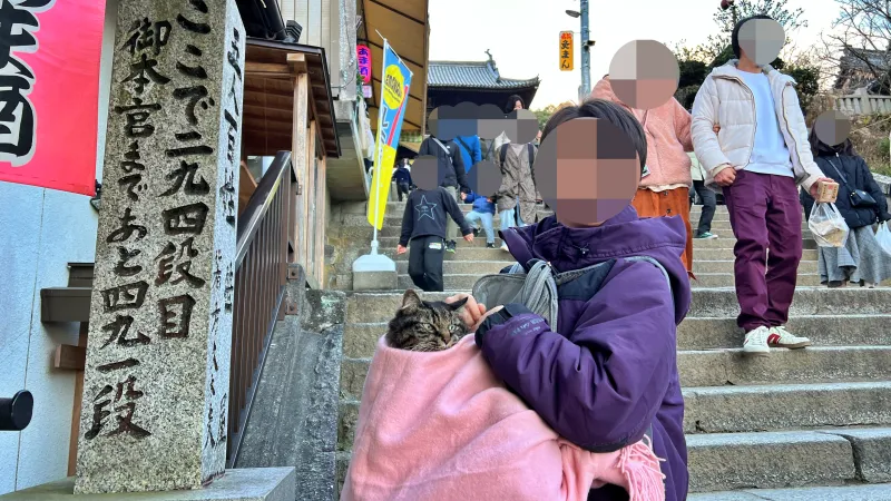2025年トラちゃんのお正月 大宮神社干支の巨大オブジェ 白蛇伝説の國分八幡宮 こんぴらさん