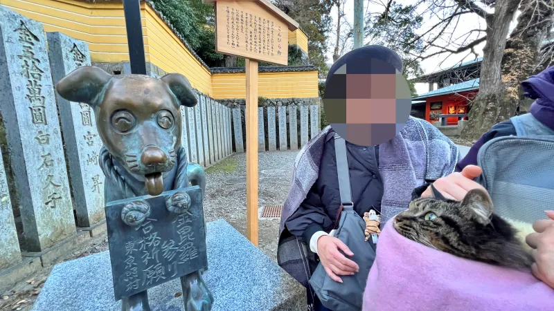 2025年トラちゃんのお正月 大宮神社干支の巨大オブジェ 白蛇伝説の國分八幡宮 こんぴらさん