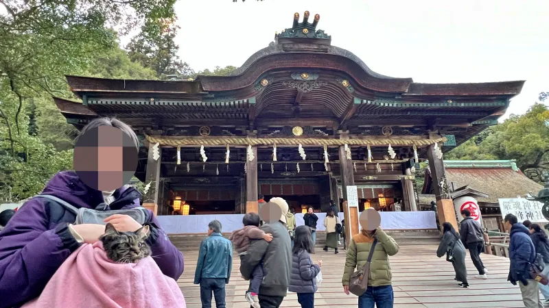 2025年トラちゃんのお正月 大宮神社干支の巨大オブジェ 白蛇伝説の國分八幡宮 こんぴらさん