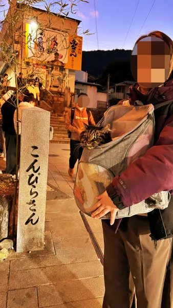 2025年トラちゃんのお正月 大宮神社干支の巨大オブジェ 白蛇伝説の國分八幡宮 こんぴらさん