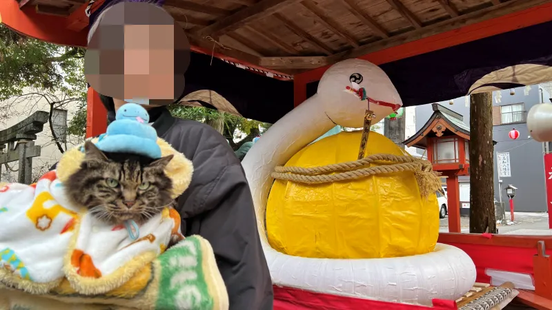 2025年トラちゃんのお正月 大宮神社干支の巨大オブジェ 白蛇伝説の國分八幡宮 こんぴらさん