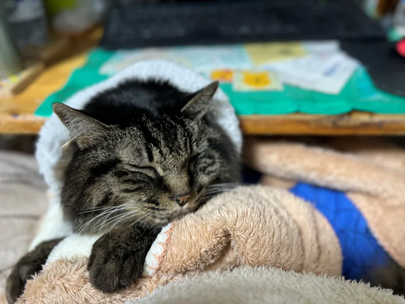 温室育ちの僕には今期最強寒波なんて何のことやら~ 僕は暖かいよ