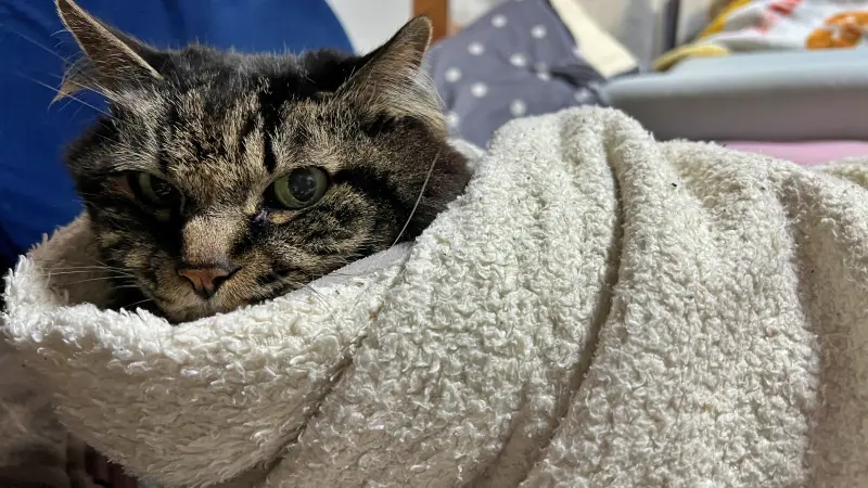 今日も寒いじゃないですか~ 寒い日はこれが最高っす!