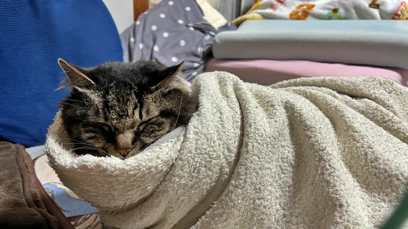 今日も寒いじゃないですか~ 寒い日はこれが最高っす!