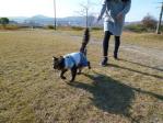 岡山県 招き猫美術館