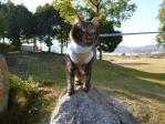 岡山県 招き猫美術館
