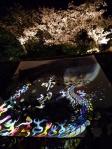 高知城に行ってきたよ♪ 2012高知城花回廊