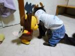 動くおもちゃに戸惑うトラちゃん♪♪