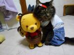 動くおもちゃに戸惑うトラちゃん♪♪