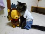動くおもちゃに戸惑うトラちゃん♪♪