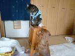 久しぶりにダックスの「トロちゃん」と再会～♪