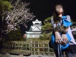 高知城 2011年 花回廊