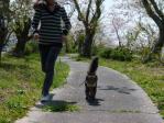 今年最後のお花見♪ 猫とお出かけ
