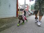 昭和レトロ お宝屋敷 おおとよ