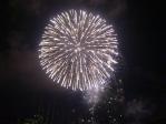 ２０１１年 トラちゃんのお盆休み♪