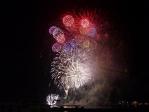 ２０１１年 トラちゃんのお盆休み♪
