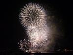 ２０１１年 トラちゃんのお盆休み♪