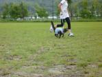 芝生の上で大運動会！