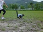 芝生の上で大運動会！