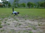 芝生の上で大運動会！