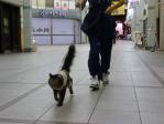 高知のお街をお散歩♪