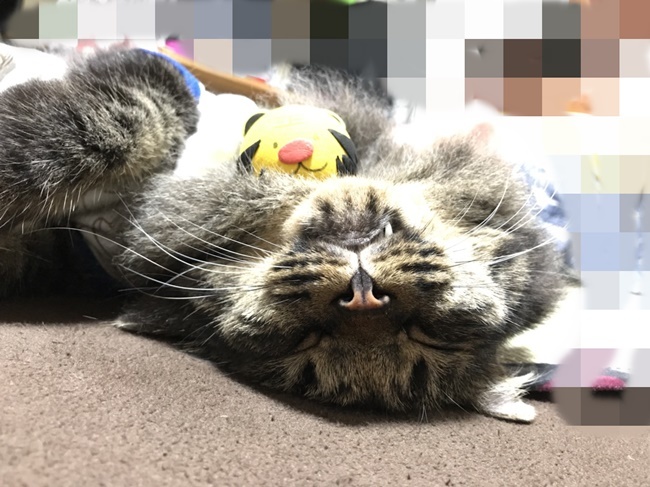 逆さからこんばんは！