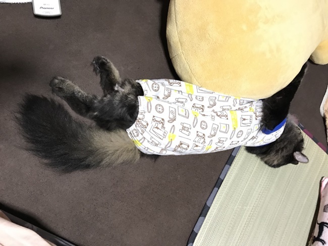 猫をダメにするホットカーペット