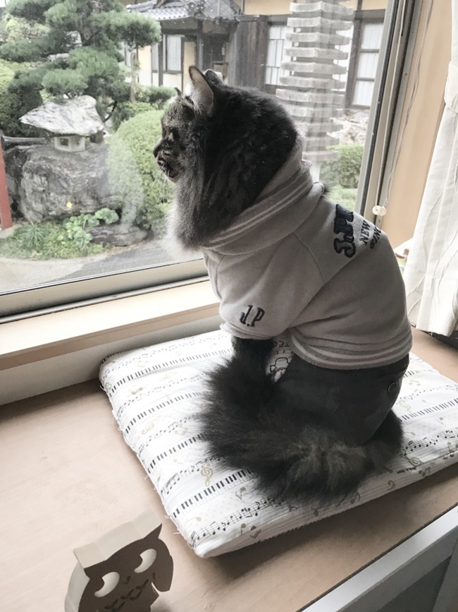 哀愁