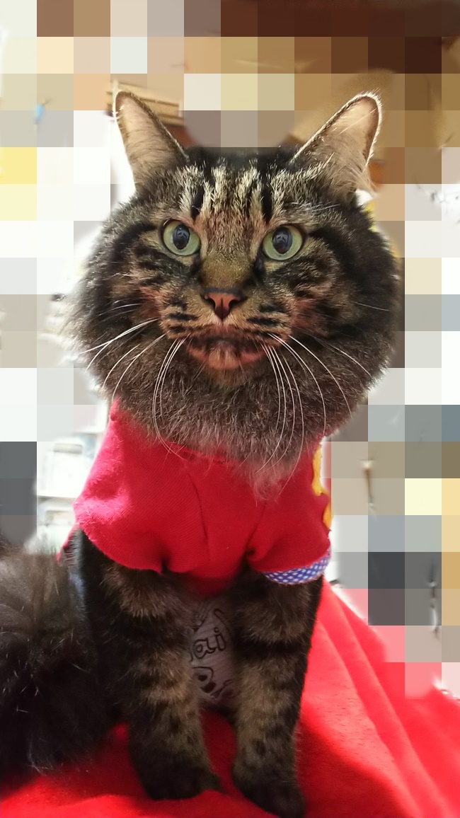 クリスマス