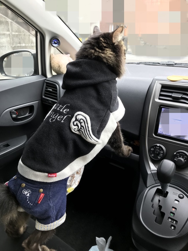 車内での悲劇！？ スンゲー表情ｗ