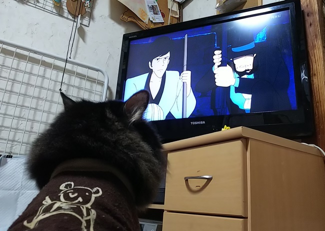 めっちゃ観てる