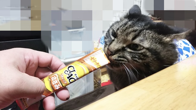 おねだりの結果