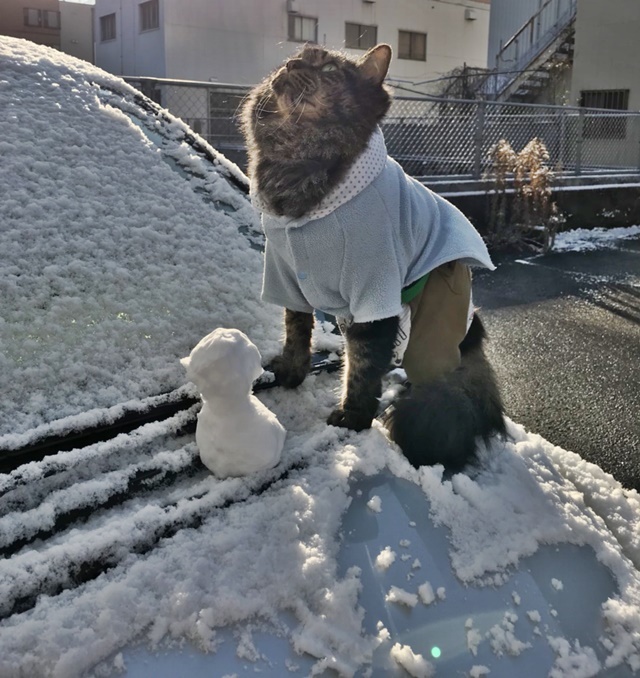 初めての雪でテンション上がってるようで上がってない！？ｗ