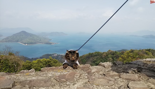 荘内半島バックにひょっこりはん！？ｗ 紫雲出山 しうんでやま 瀬戸内海国立公園 浦島太郎伝説