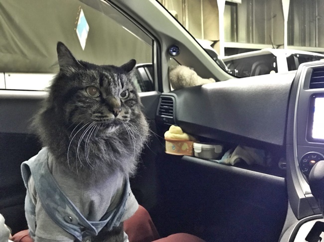 フェリーで大移動からの～車中泊♪