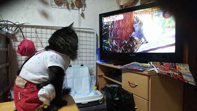 美人を見て驚いた！？ｗ