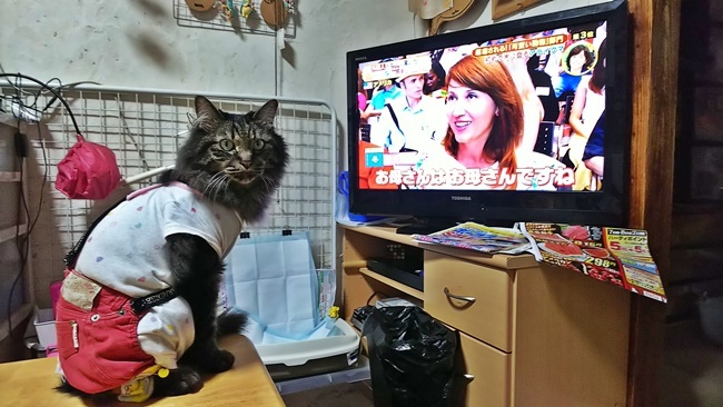 美人を見て驚いた！？ｗ
