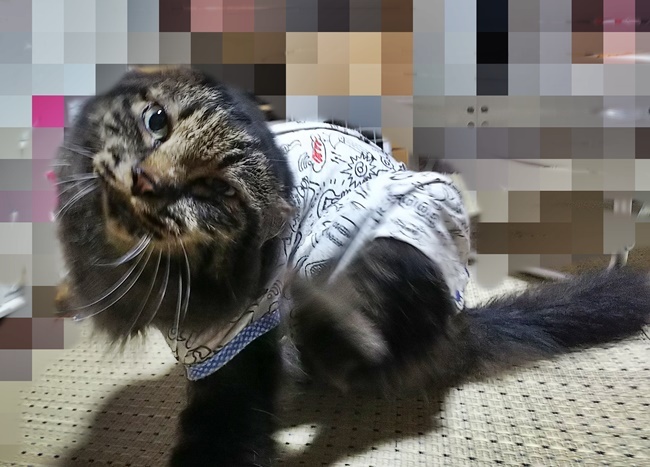 自由な時間ｗ