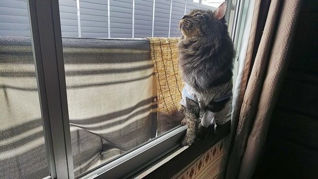 日光浴♪