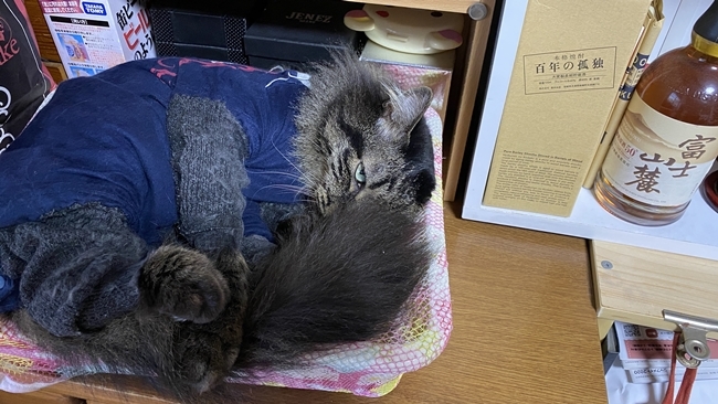 そろそろ梅雨が明けそうだぞ~ 蒸し暑いので快適なエアコンの部屋で